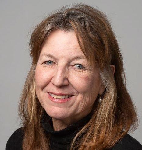 POSITIVT: Bildeling er bra for miljøet, sier seniorforsker Vibeke Nenseth.