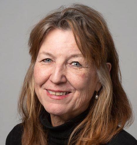 POSITIVT: Bildeling er bra for miljøet, sier seniorforsker Vibeke Nenseth.
